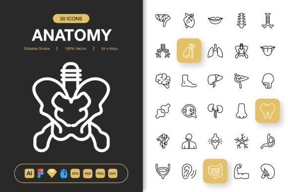 Anatomy Icons: A Designer's Hands-On Embroidery Review